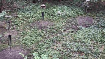 Weather camera view of Cincinnati Nature Center.