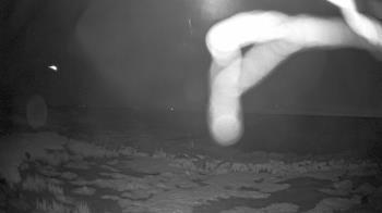 Weather camera view of Outer Island  (Thimble Island Group).