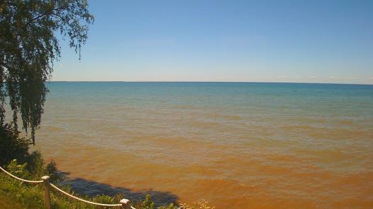 Weather camera view of Forest Lawn Beach.